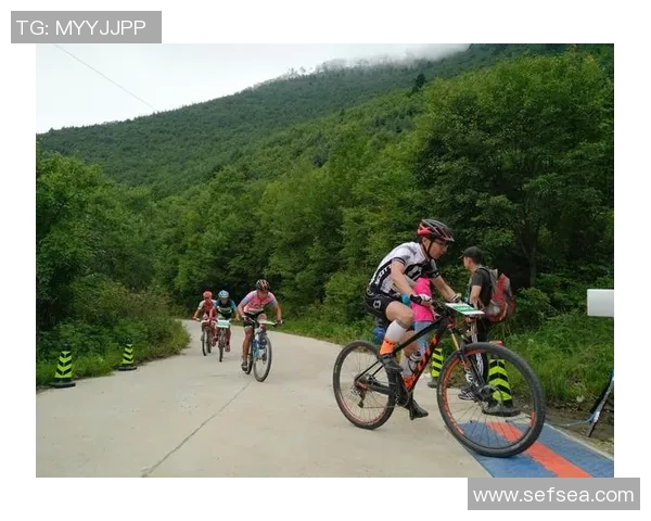 2021年2月8日悉尼与惠灵顿激战回顾精彩瞬间与赛后分析