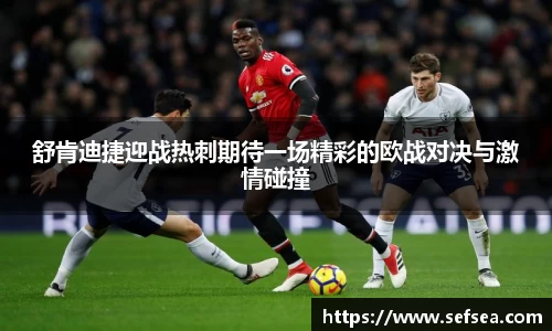 摩根综合体育官网